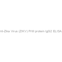 Recombivirus? Human Anti-Zika Virus (ZIKV) PrM protein IgG2 ELISA kit, 96 tests, Quantitative